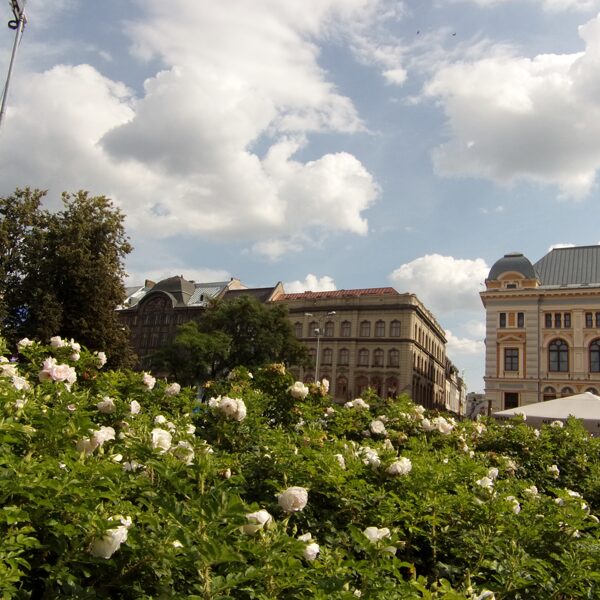 Rožių terapija, Latvija, Ryga
