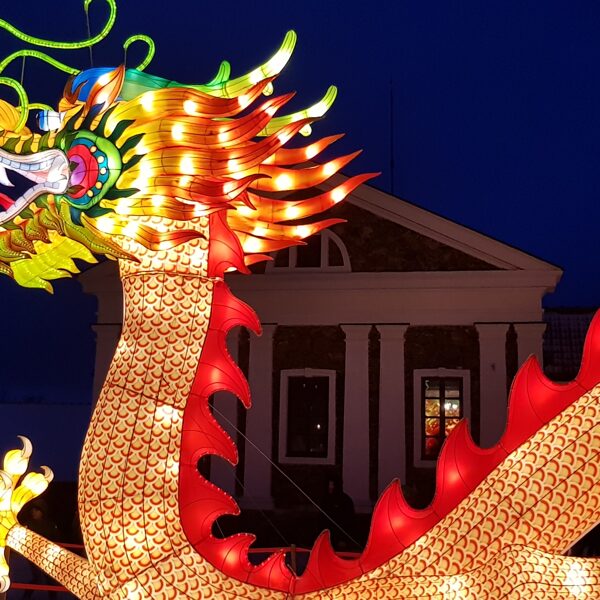 Kinijos žibintai, Pakruojis