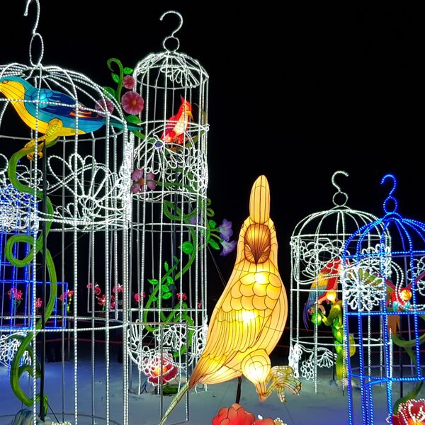 Spalvinė gama "Papuga"