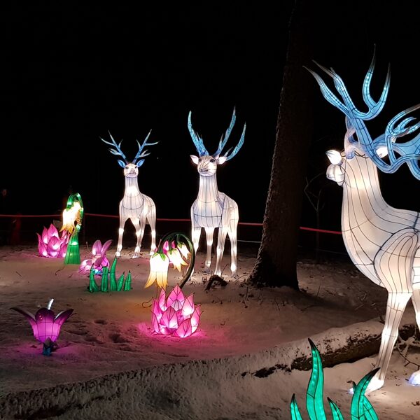 Tvirtas požiūris, atsakomybė, vada