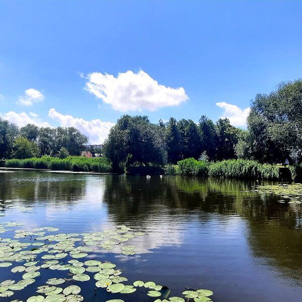 Žalia spalva gyvybės ir pakilios nuotaikos spalva