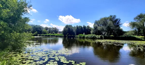 Žalia spalva gyvybės ir pakilios nuotaikos spalva